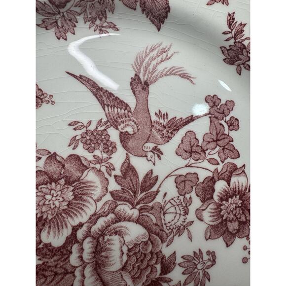 Royal Stafford Asiatic Pheasant Red Fine Earthenware 11” Dinner Plates -5 Pc Set - Picture 5 of 12